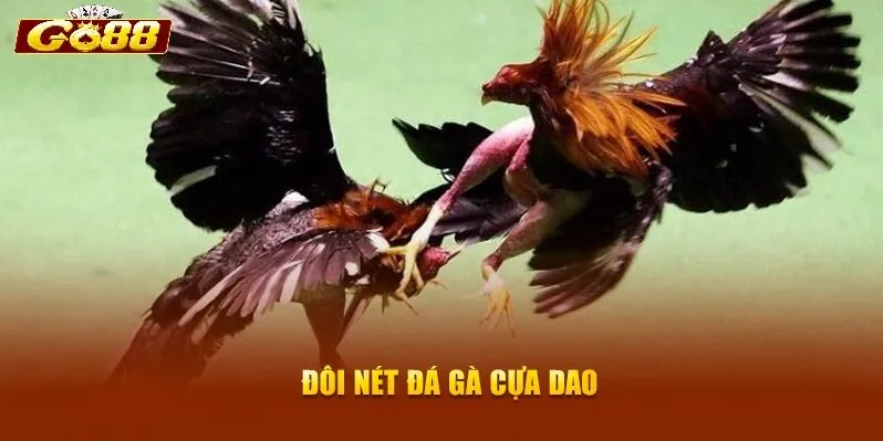 Vì sao nhiều người lựa chọn Đá Gà Cựa Dao Go88?